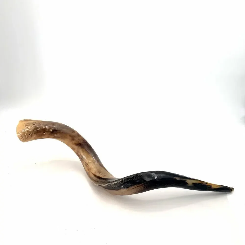 Unbranded kosher kudu